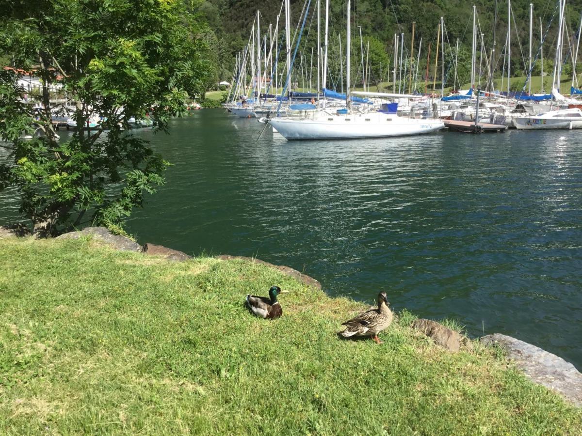Comolakehome A Due Passi Dal Lago Dervio Exterior photo
