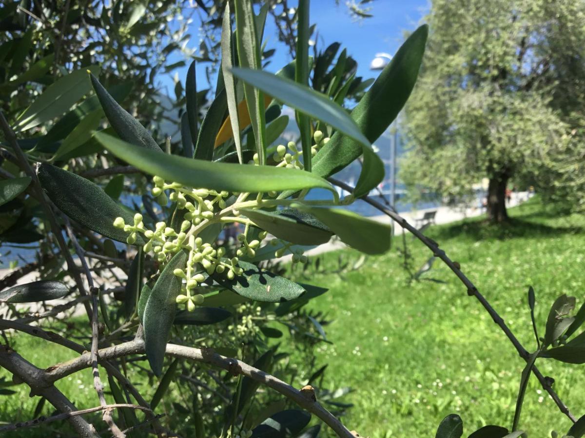 Comolakehome A Due Passi Dal Lago Dervio Exterior photo